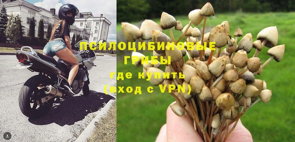 твердый Алексеевка