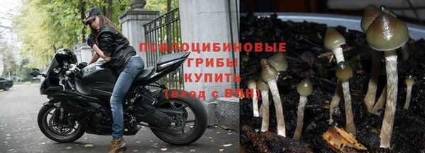 твердый Алексеевка