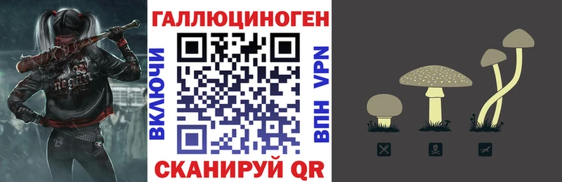 Псилоцибиновые грибы прущие грибы  Бабушкин 